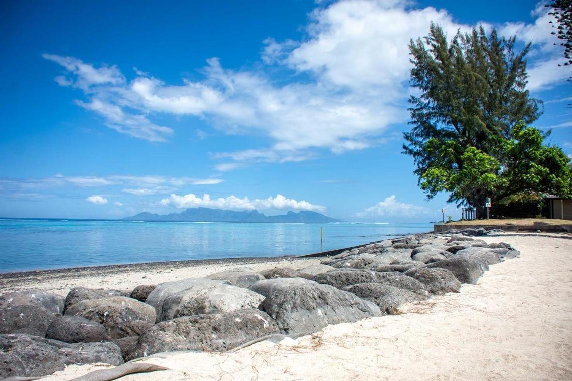Tuatahi Beach Lodge 普纳奥亚 外观 照片